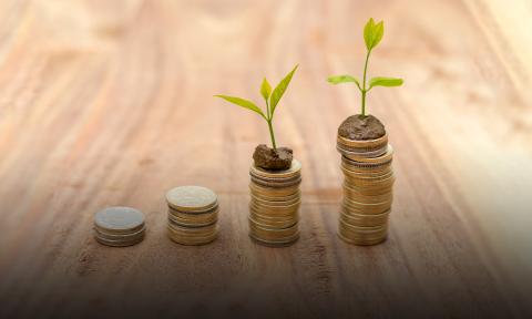 Short Term Income Fund