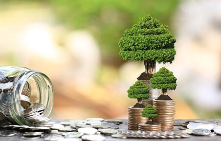 Wealth creation